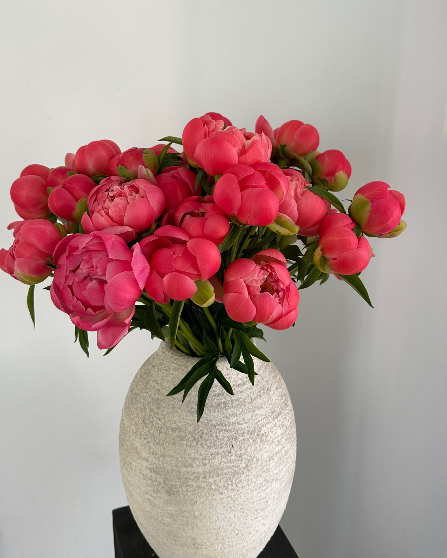 Bouquet of peonies - Luxury from Meadow, available in Barcelona