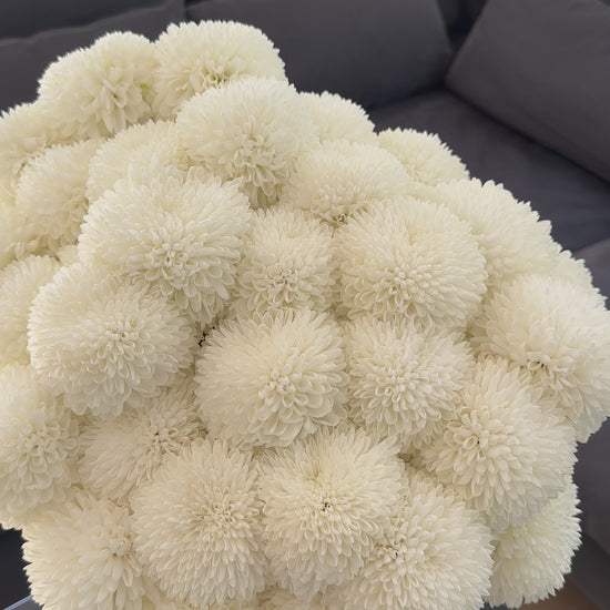 Bouquet of Chrysanthemum - Luxury from Meadow, available in Barcelona